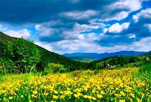 Закарпатье