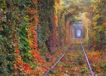 Туннель любви. Клевань